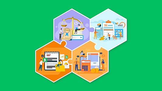 Master Your Taxes: The Comprehensive Corporate Tax Learning Bundle